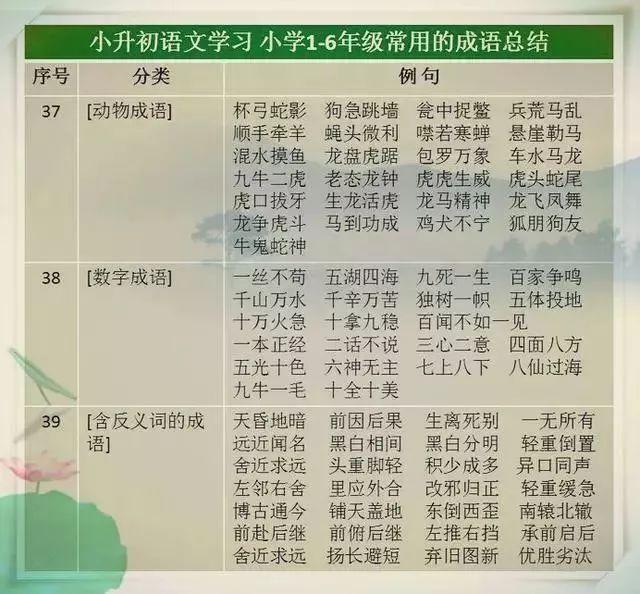 天天彩票免费资料大全/词语释义解释落实天天彩票免费资料大全与词语释义解释落实的重要性