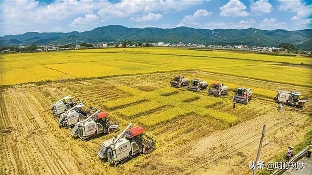 广东省 水田垦造广东省水田垦造，重塑农业生态与提升经济效益的双向路径